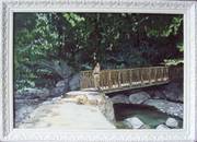 Cascade des anglais Corse. 