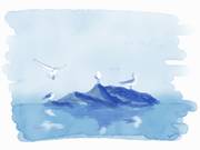 Four Seagulls at Dawn - digital ink. 