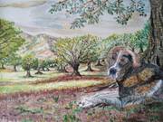 «The guardian of the olive grove». 