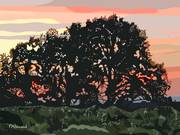 2024-08-13 Vignoble de Châteauneuf Du Pape Château La Font Du Loup. 