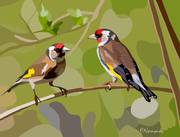 2024-10-20 Oiseaux de jardin - Chardonneret élégant. 