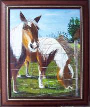 Chevaux à St-maurice. 