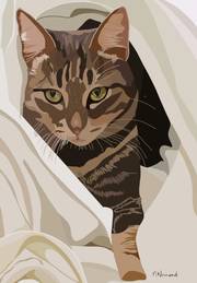 2024-12-15 Muse, la Star … !. 