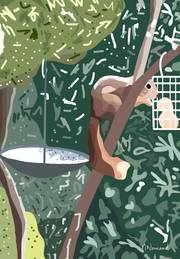 2025-01-12 Les écureuils de Valescure. 