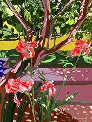 2025-05-30 Le jardin de Michèle L’Olivier et les Iris. 