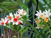 2025-06-03 Cuba -Las Terrazas - Soroa - Parc des Orchidées - Orchidées. 