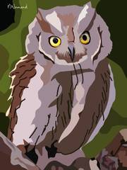 2025-06-20 Oiseaux de jardin - Hibou Petit duc. 