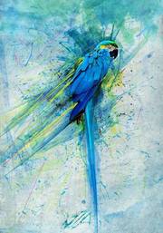 Parrot4. X-Trem Infographie