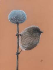 Moment nostalgique à Ostia. Instant Pastel