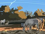 2025-11-08 Chevaux de Camargue. 