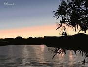 2025-11-12 Coucher de soleil en Camargue. 