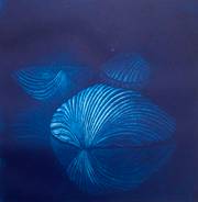 Clair Obscure. Claude Ubelhart