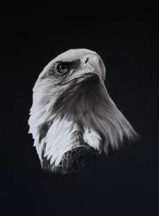 Excelso. Ignacio Draw