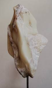 Phoenix. René Kubiak