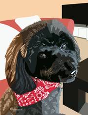 2025-12-04 Lola - une boule d’amour. 